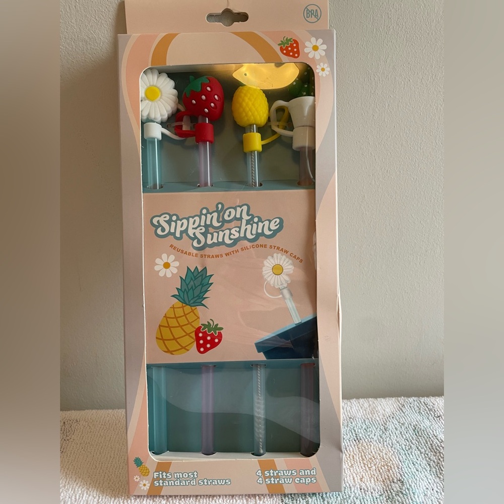 Reusable Straws w/Silicone Straw Caps (4)
Daisy, Strawberry, Pineapple, Cactus